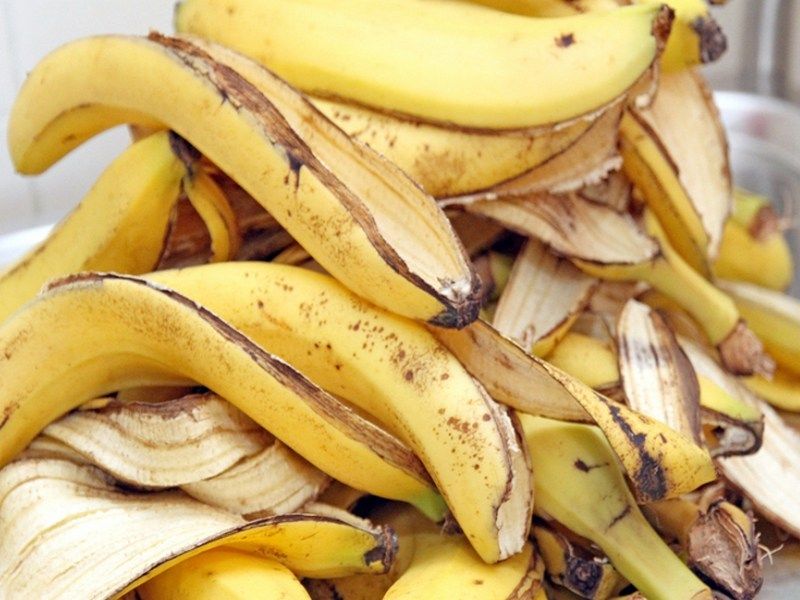 Навіщо кімнатні квіти пригощати бананом